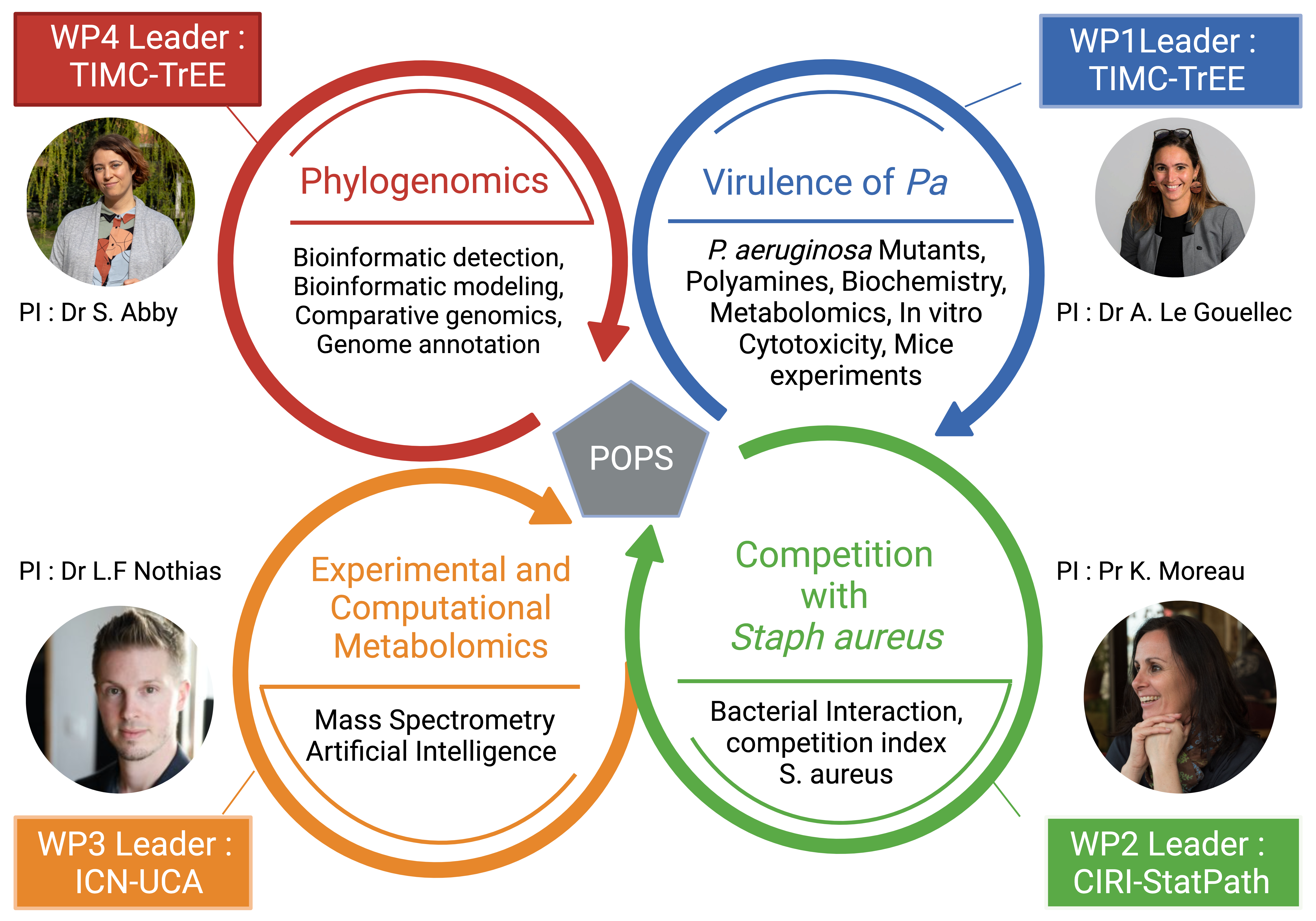 POPS consortium organization across TIMC, CIRI, and ICN